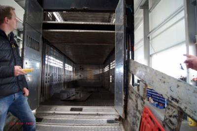 Viehtransporter mit Etagen