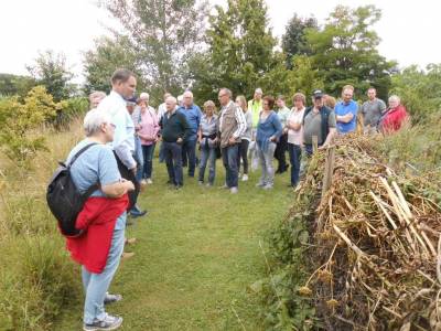 Erluterung der Totholz Windschutzanlage